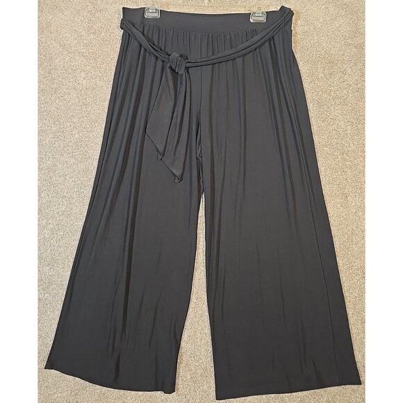 Cato Plus Sportswear Gaucho Wide Leg Dressy Pants Belt Stretch Women's 18/20 WP - Picture 1 of 12